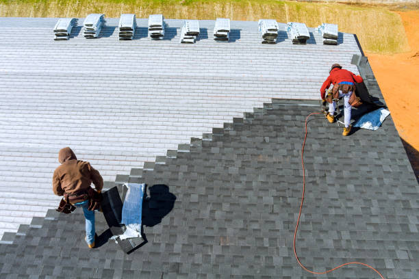 Best Roof Gutter Cleaning  in Pine Bluffs, WY