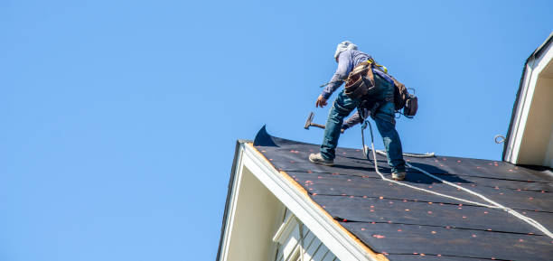 Best Roof Repair Specialists  in Pine Bluffs, WY